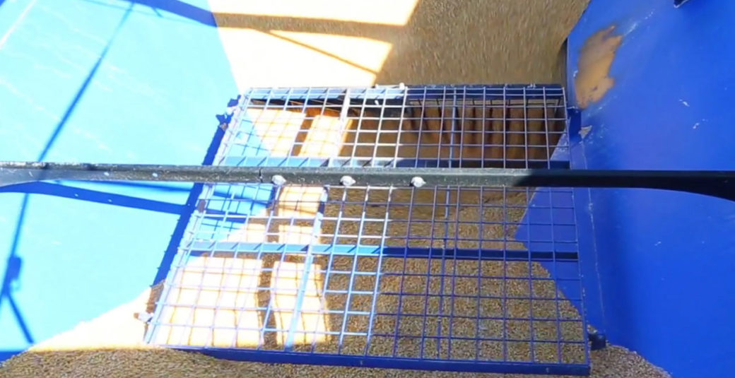 Grain Cart Clean-out